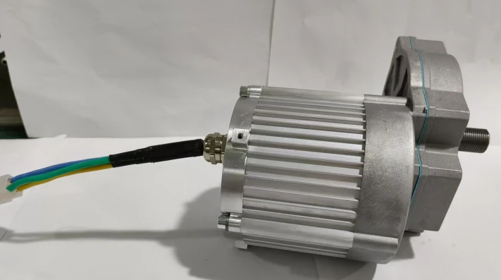 24V Brushless DC Gear Motor